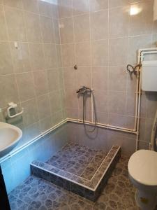 een badkamer met een douche, een toilet en een wastafel bij Vikendica na Drini DRINSKI ODMOR in Crnča