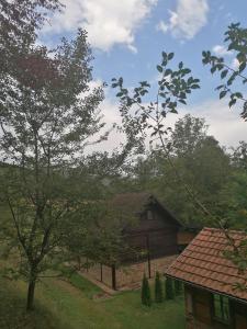 Příroda nedaleko prázdninového domu