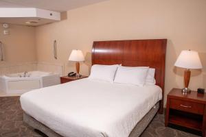 a hotel room with a bed and a bath tub at Hilton Garden Inn Erie in Erie