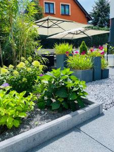 a garden with plants and a table with an umbrella at Pause Gubin in Gubin