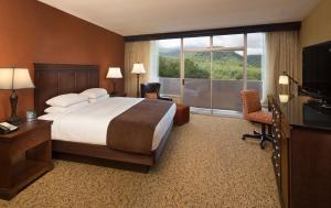 a hotel room with a bed and a large window at The Park Vista - A DoubleTree by Hilton Hotel - Gatlinburg in Gatlinburg