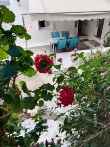 a view of a patio with flowers in the foreground at George Traditional House in Pylos +2 photos
