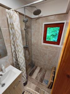 La salle de bains est pourvue d'une douche et d'un lavabo. dans l'établissement Apartma Sveti Martin, 