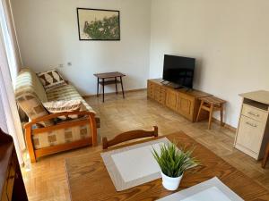 TV a/nebo společenská místnost v ubytování Przestronny apartament w centrum miasta - Mszana M11