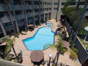 Bazén v ubytování DoubleTree by Hilton Rosemead nebo v jeho okolí