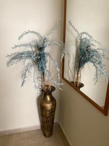 um vaso com uma planta ao lado de um espelho em Nikoleta downtown apartment em Lefkada