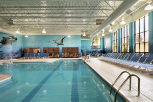 DoubleTree Resort by Hilton Lancaster في لانكستر: مسبح كبير والكراسي الزرقاء وجدارية القرش