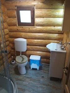 a bathroom with a toilet and a sink at CASUTELE VADULUI in Vadu