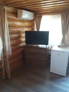 a living room with a television and a refrigerator at CASUTELE VADULUI in Vadu