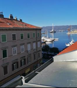 Blick auf einen Hafen mit Booten im Wasser in der Unterkunft Beautiful apartment in center in Rijeka