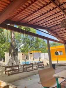 un grupo de bancos bajo un pabellón con un árbol en R Las chulas en Puerto Morelos