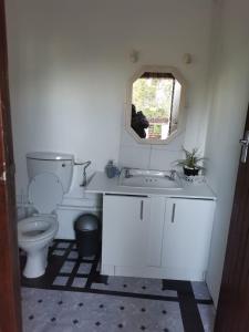 een badkamer met een witte wastafel en een toilet bij Mountain View in Grahamstown