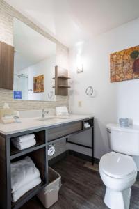een badkamer met een wastafel, een toilet en een spiegel bij Hilton Garden Inn Mankato Downtown in Mankato