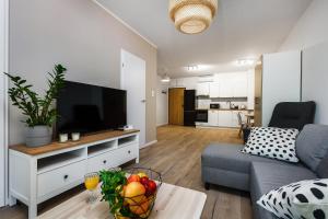 Kuchyň nebo kuchyňský kout v ubytování Apartamenty Pilice