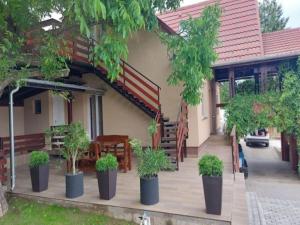 un patio con piante in vaso di fronte a una casa di Anno Apartman a Balatonföldvár