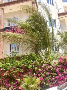 a palm tree and flowers in front of a building at Hôtel Ami Bamba in Mbour