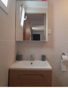 een badkamer met een wastafel en een spiegel bij Appartement Calme, lumineux, Terasse proche Paris in Sceaux