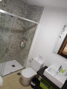 a bathroom with a shower and a toilet and a sink at Apartamento Dueñas in Seville