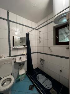 a bathroom with a toilet and a sink at Apartments Azra in Mostar