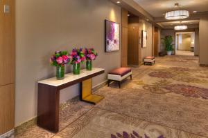 TV/trung tâm giải trí tại DoubleTree by Hilton Irvine Spectrum