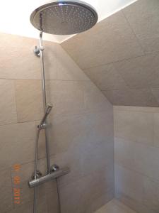 een douche met een douchekop in de badkamer bij Stern am Kap 2 in Putgarten