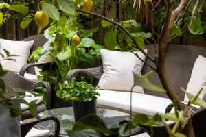 a patio with wicker chairs and potted plants at La Villa Madame in Paris