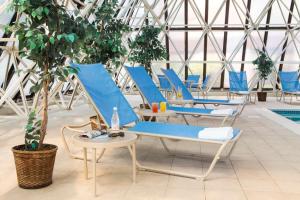 un groupe de chaises bleues et un arbre dans un bâtiment dans l'établissement DoubleTree by Hilton Portland, ME, à South Portland