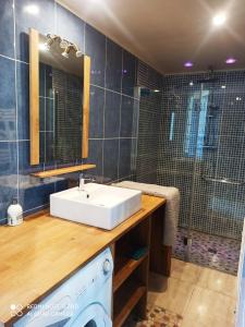 a bathroom with a white sink and a shower at Maison entière au Centre de Villeneuve d'Olmes in Villeneuve dʼOlmes