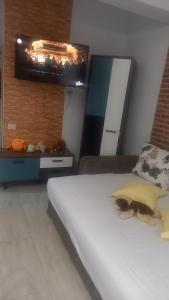 ein Schlafzimmer mit einem Bett und einem TV an der Wand in der Unterkunft Casandra in Mamaia Nord – Năvodari