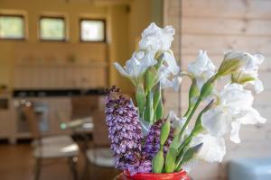 Fotografie z fotogalerie ubytování Castelvecchio v destinaci Sarnano