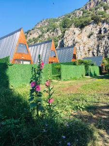 una casa en una colina con flores en el patio en Aşı garden bungalow evleri en Ortaca