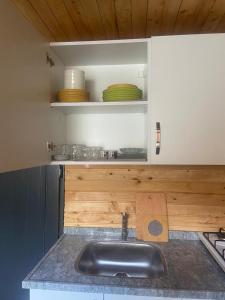 uma cozinha com um lavatório e uma bancada em Aşı garden bungalow evleri em Ortaca