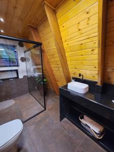 uma casa de banho com um WC e uma cabina de duche em vidro. em O Chalezinho em Serra Negra