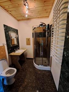a bathroom with a shower and a toilet and a sink at Dom na mazurach in Jerutki