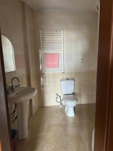 ein Bad mit einem WC und einem Waschbecken in der Unterkunft Kanarya Apart in Trabzon
