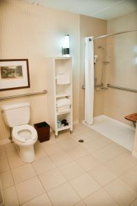 a bathroom with a toilet and a shower at DoubleTree by Hilton Collinsville/St.Louis in Collinsville
