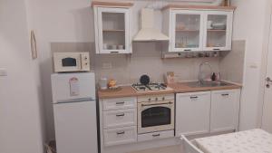 a kitchen with white appliances and a white refrigerator at Apartma Rižana in Dekani +7 photos