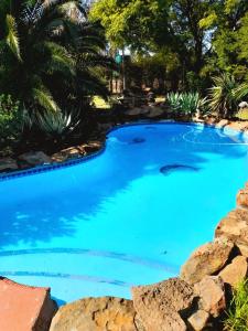 a large pool with blue water in a yard at Rietkuil Country Cottages in Cremin