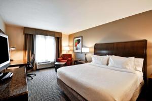 a hotel room with a bed and a television at Hilton Garden Inn Tampa North in Tampa