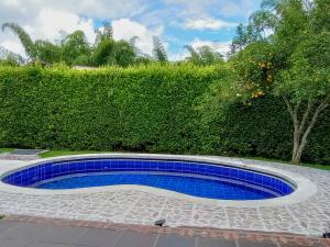a swimming pool with blue tiles in front of a hedge at Habitación tranquila en casa campestre in Pereira