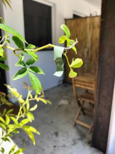 Fotografie z fotogalerie ubytování Casale Orgogliosa v destinaci San Vito Chietino