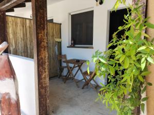 um quarto com uma mesa e cadeiras e uma planta em Casale Orgogliosa em San Vito Chietino