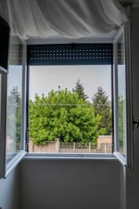 una ventana con vistas a un árbol en Terra di Mezzo, en Castellanza