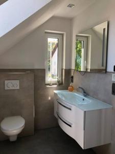 een badkamer met een wastafel, een toilet en een spiegel bij Neue luxuriöse Ferienwohnung in ruhiger Lage in Leutkirch im Allgäu