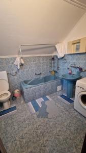 La salle de bains est pourvue d'une baignoire, de toilettes et d'un lavabo. dans l'établissement Room "Iva", à Josipdol