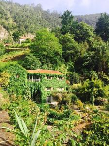Una casa con hiedra creciendo al lado de una montaña en Moinho do Comandante, en Faial