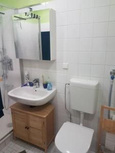ein Badezimmer mit einem weißen WC und einem Waschbecken in der Unterkunft Ferienwohnung `Ton Utkiek` in Bremerhaven