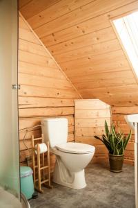 a bathroom with a toilet in a wooden attic at Dom za 7 górami in Kazimierz Dolny