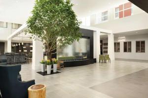 eine Lobby mit einem Baum in der Mitte eines Gebäudes in der Unterkunft Embassy Suites Charlotte/Ayrsley in Charlotte