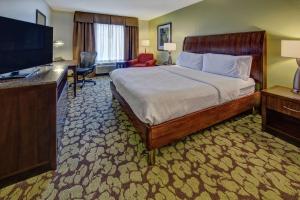 um quarto de hotel com uma cama e uma televisão de ecrã plano em Hilton Garden Inn Memphis/Wolfchase Galleria em Memphis